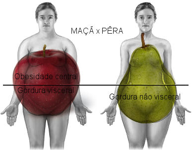 Maça x Pêra